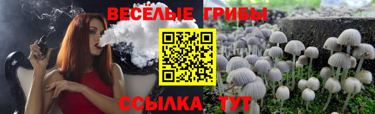 Дятьково  Галлюциногенные грибы Cubensis  Псилоцибиновые грибы прущие грибы  Вход с VPN 